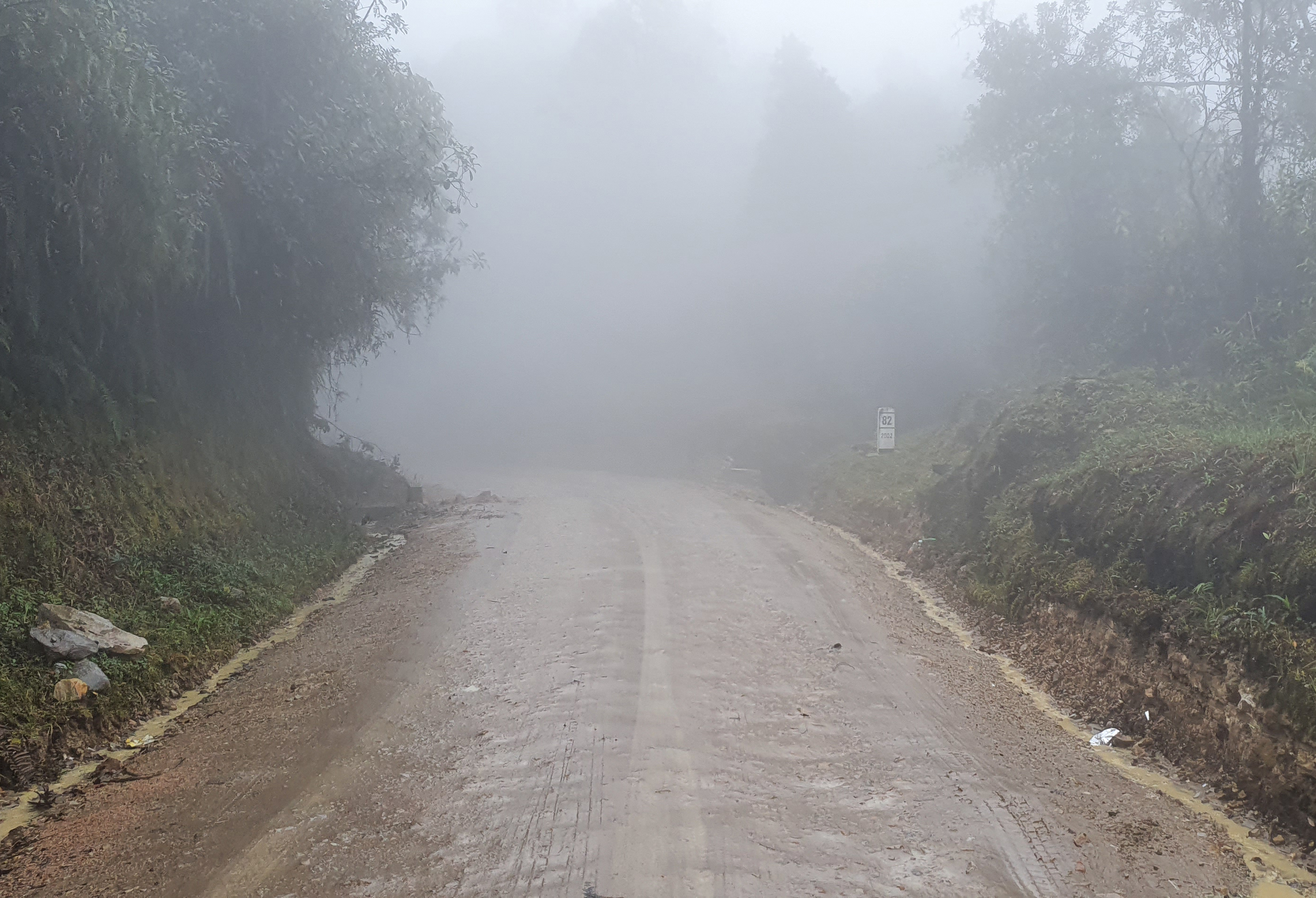 RUTA2002PR82 (1).jpg
